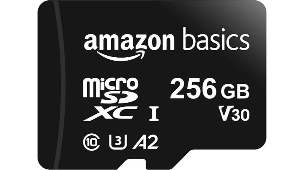 amazon 256gb micro sd