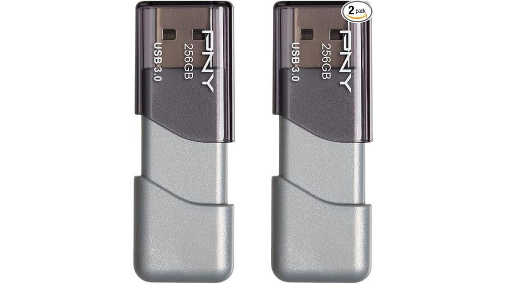 dual pny 256gb usb drives