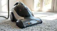 top pet carpet cleaners
