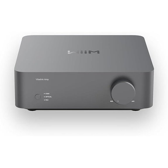 WiiM Vibelink 100W Power Amplifier with DAC
