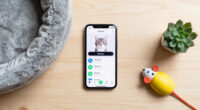 OnlyCats – TikTok for Cats