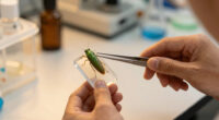The Issus leafhopper is the only known creature in the natural world to have perfectly interlocking mechanical gears, which it uses to synchronize its legs for jumping.