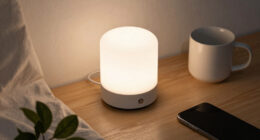 2 Best Home Night Lights In 2026
