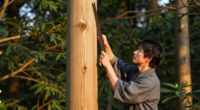 Daisugi the Japanese Technique of Trees Out of Trees, Making Exact Straight Wood